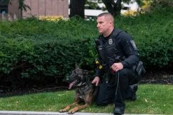 5.11 Tactical Men's Rapid Ops Shirt 72199 12 5.11 Tactical Men's Rapid Ops Shirt 72199 -Tactical Clothing Store 5.11 tactical mens rapid ops shirt 72199 72199 44457.1606944214